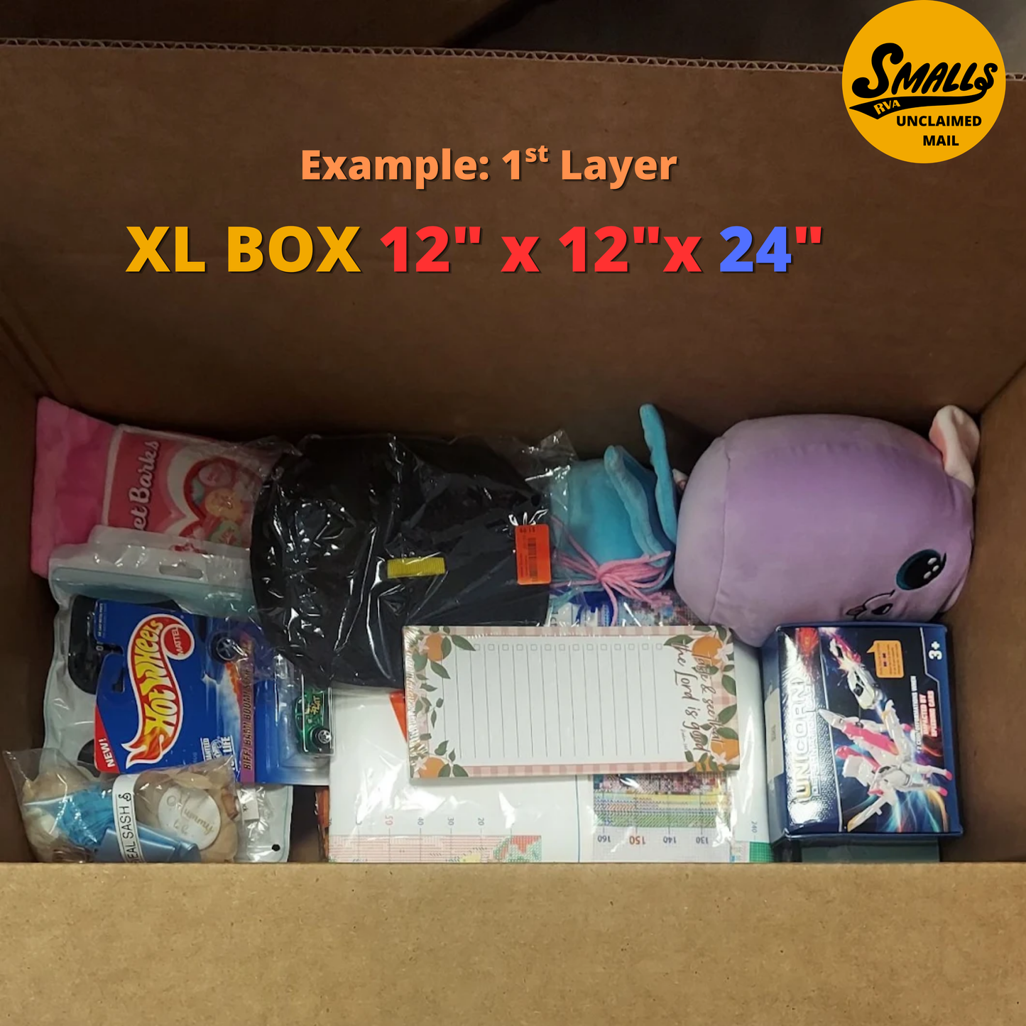 Unclaimed Mail Mystery Box XL (35-55 items) MSRP $350+