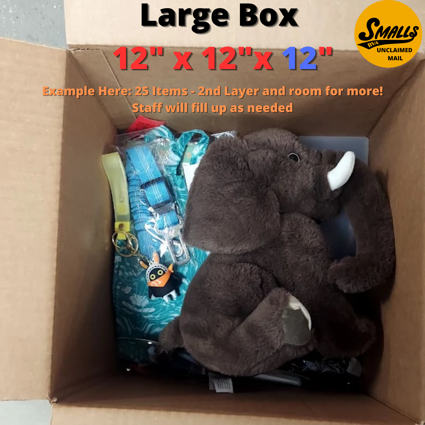 Unclaimed Mail Mystery LARGE Box  (15-30 items) MSRP $175+