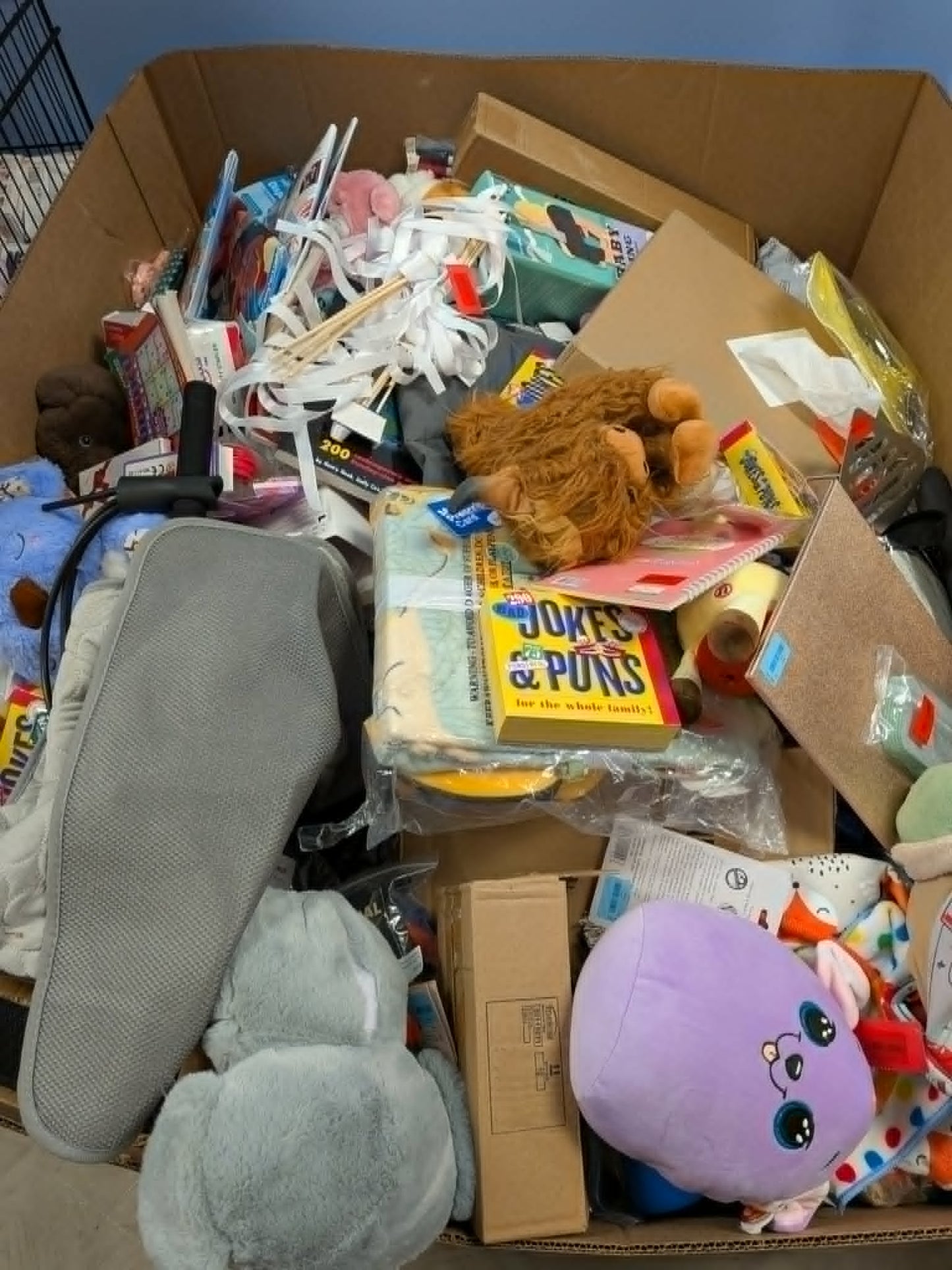 Unclaimed Mail Mystery Box XL (35-55 items) MSRP $350+
